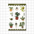 House Plants Sticker Sheet - Journaling Stickers
